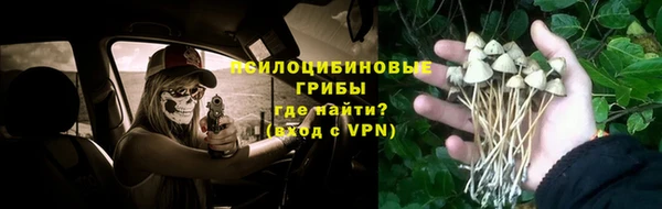 трава Белокуриха