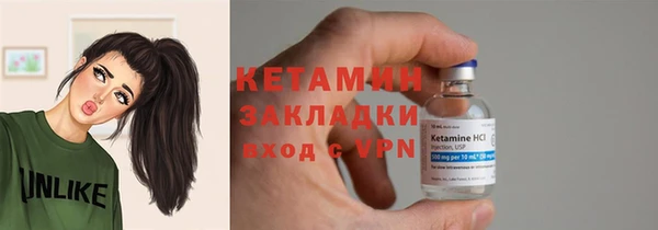 трава Белокуриха