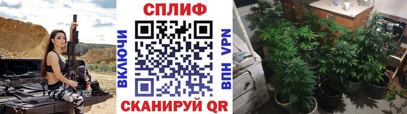 Шишки марихуана Amnesia  Купить  Слюдянка 
